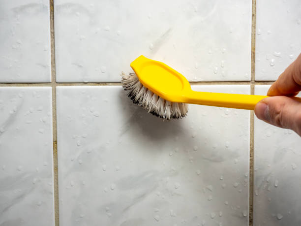 Best Home Mold Removal  in Camp Wood, TX
