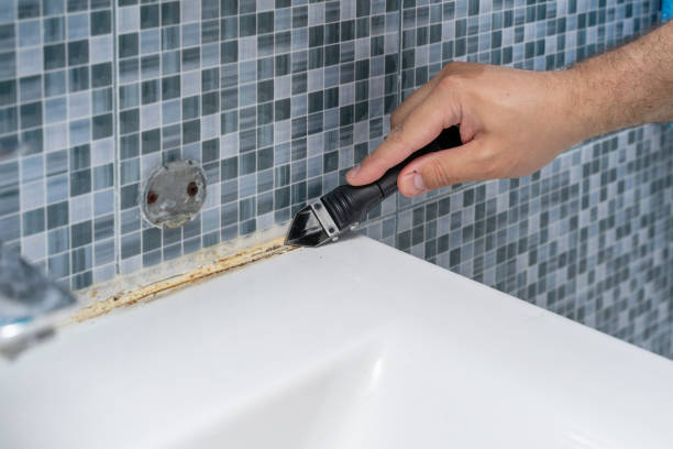 Best Fast Mold Removal  in Camp Wood, TX